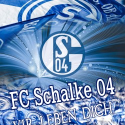 3D спално бельо Футбол, FC Schalke 04