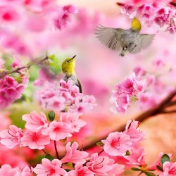 3D спално бельо, флорални, Spring Limited Лятна свежест